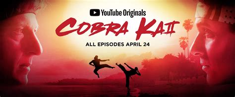 cobra kai extratorrent|Cobra Kai Season 2 Complete 720p WEBRip x264 [i.